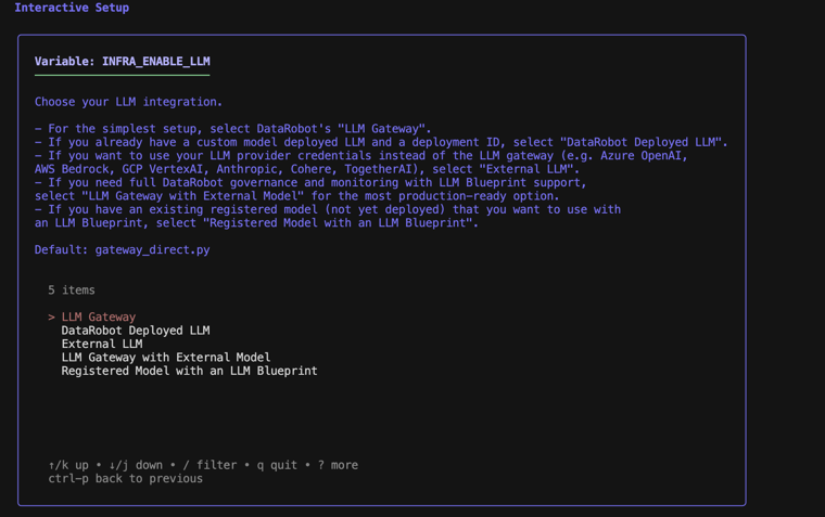 LLM configuration interactive setup